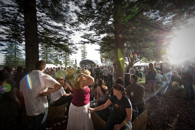 blues_roots_scenery_crowd_wyliepic_4_09_30.jpg