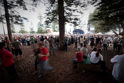 blues_roots_scenery_crowd_wyliepic_4_09_46_1.jpg