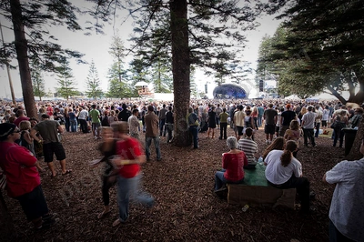 blues_roots_scenery_crowd_wyliepic_4_09_46.jpg