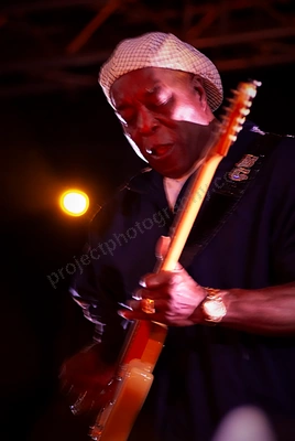 buddy_guy_blues_and_roots_wyliepic_3_08_01.png