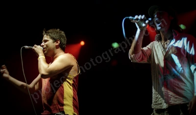 The Cat Empire