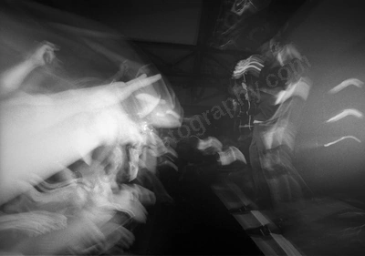 cog_2629_wyliepic_ 01.jpg