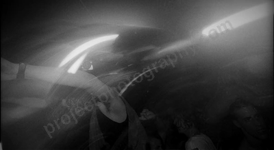 crowd_alliegance_club_atlantis_1320_wyliepic_12_95_04.jpg