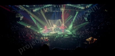 crowd_def_leopard_ent_cent_395_wyliepic_7_92_01.jpg