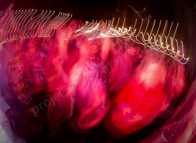crowd_dennis cometti _itp_wyliepic_4_2021_07.png