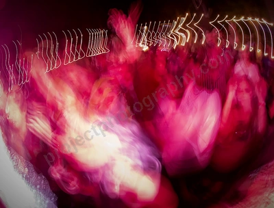 crowd_dennis cometti _itp_wyliepic_4_2021_08.png