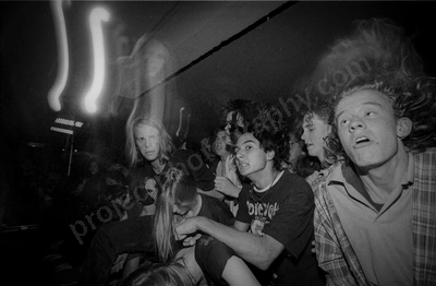 crowd_mark_of_cain_1176_wyliepic_5_95_03.jpg