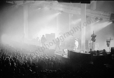 cure_crowd_294_wyliepic_02.jpg