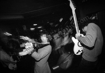 custard_crowd_grosvenor_1242_wyliepic_5_95_09.jpg