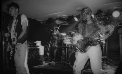 dead_flowers_civic_254_wyliepic_6_92_02.jpg