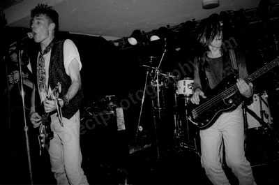 dead_flowers_civic_254_wyliepic_6_92_05.jpg