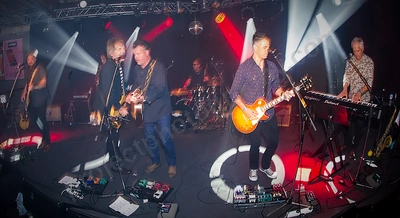 dead_flowers_rosemount_wyliepic_8_19_01.png