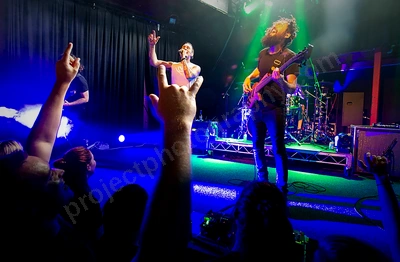 dead_letter_circus_crowd_capitol_wyliepic_1_12_18_11.png