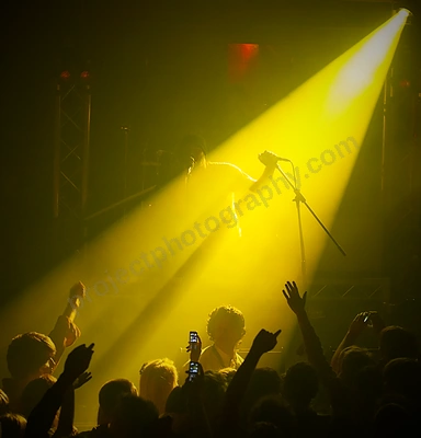 does_it_offend_you_yeah_crowd_capital_wyliepic_9_09_01.png
