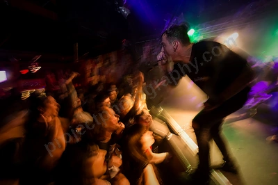 dream_on_dreamer_crowd_amp_wyliepic_3_19_26.png