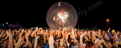 flaming_lips_crowd_southbound_wyliepic_1_13_01.png