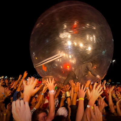 flaming_lips_crowd_southbound_wyliepic_1_13_02.png
