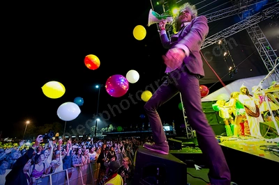 flaming_lips_crowd_southbound_wyliepic_1_13_05.png