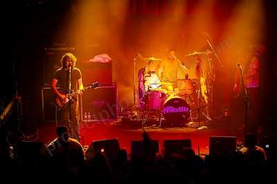 fratellis_crowd_capital_wyliepic_7_08_04.png