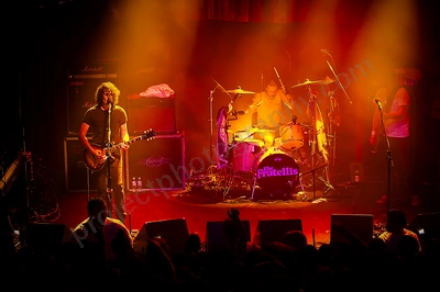 fratellis_crowd_capital_wyliepic_7_08_05.png