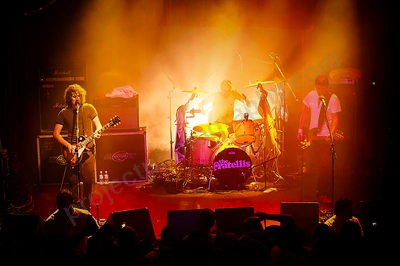 fratellis_crowd_capital_wyliepic_7_08_10.png