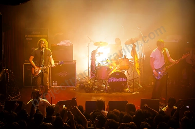 fratellis_crowd_capital_wyliepic_7_08_13.png