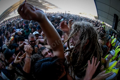 frenzal_rhomb_crowd_rollercoaster_wyliepic_1_06_01.png