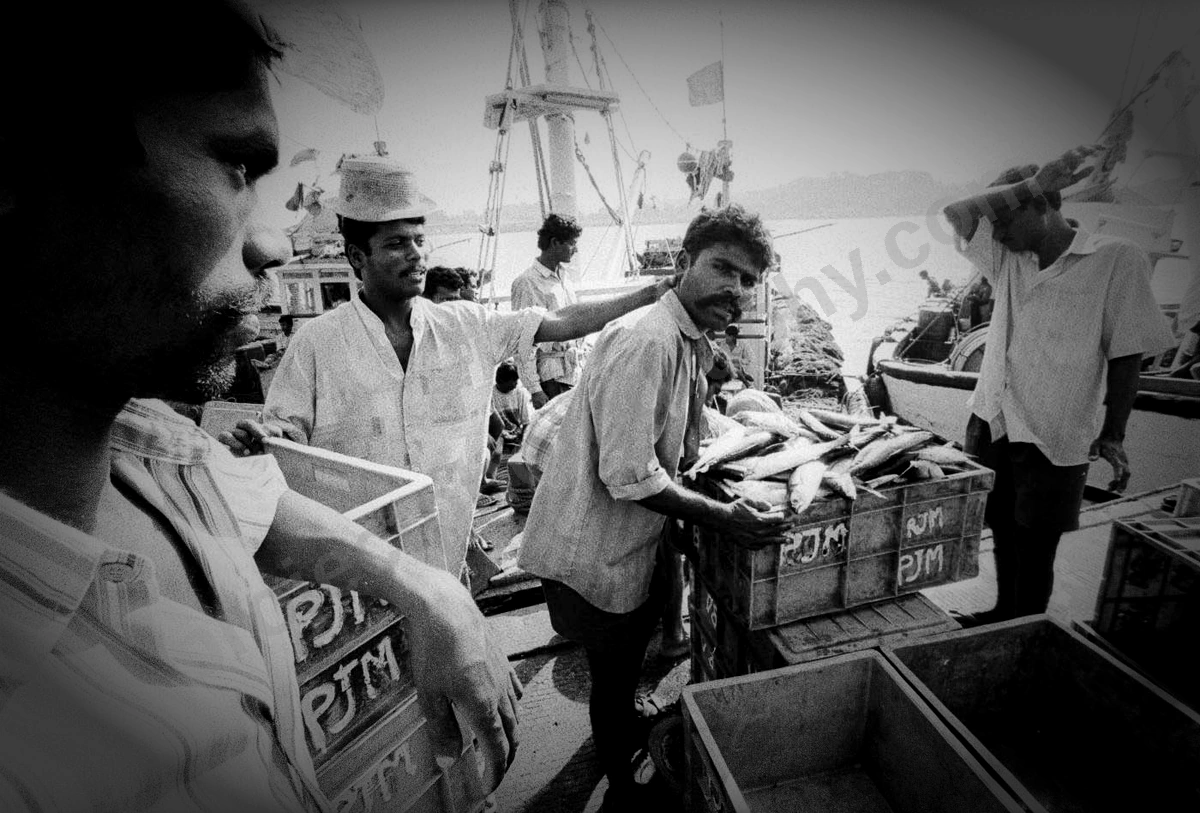 goa_104_wyliepic_00.jpg