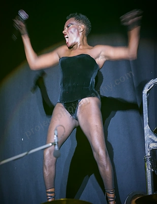 grace_jones_blues_roots_wyliepic_4_11_085.png