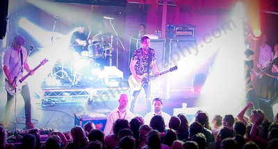 grinspoon_crowd_capital_wyliepic_4_13_16.png