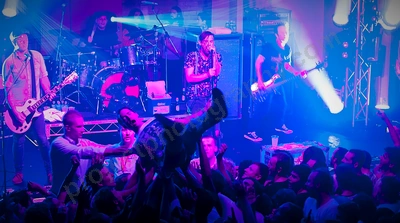 grinspoon_crowd_capital_wyliepic_4_13_28.png