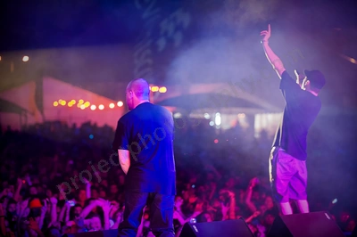 hilltop_hoods_crowd_1_movement_wyliepic_10_09_00.png