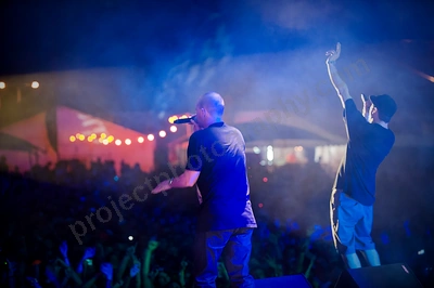 hilltop_hoods_crowd_1_movement_wyliepic_10_09_01.png