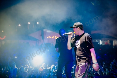 hilltop_hoods_crowd_1_movement_wyliepic_10_09_03.png
