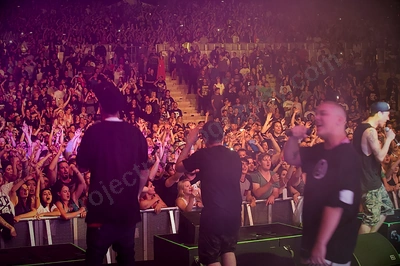 hilltop_hoods_crowd_red_hill_wyliepic_6_12_14_33.png