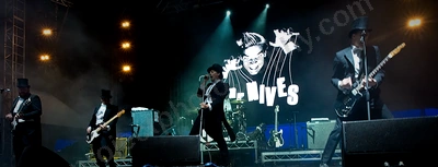 The Hives