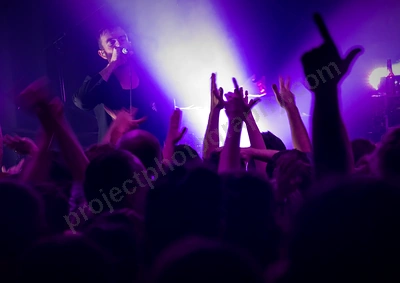 karnivool_rock_rover_crowd_wyliepic_8_6_19_118.png