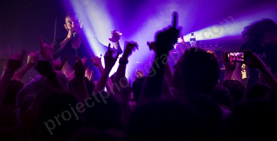 karnivool_rock_rover_crowd_wyliepic_8_6_19_119.png
