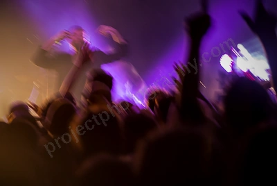 karnivool_rock_rover_crowd_wyliepic_8_6_19_122.png
