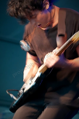Last Dinosaurs