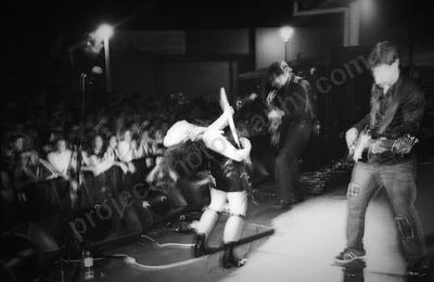 little_birdy_crowd_bdo_2329_wyliepic_00.jpg