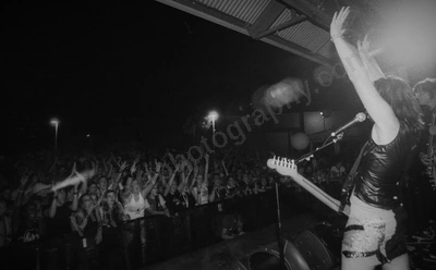little_birdy_crowd_bdo_2329_wyliepic_01.jpg