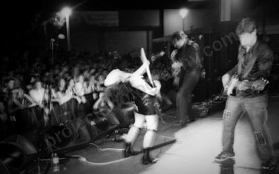 little_birdy_crowd_bdo_2329_wyliepic_02.jpg