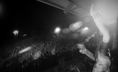 little_birdy_crowd_bdo_2329_wyliepic_03.jpg