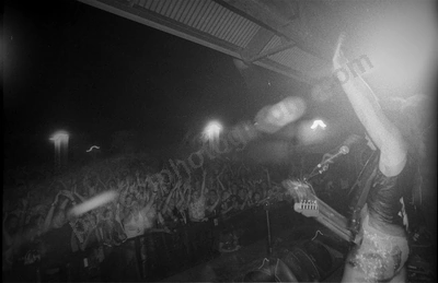 little_birdy_crowd_bdo_2329_wyliepic_1_2_2004_01.jpg