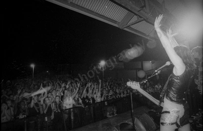 little_birdy_crowd_bdo_2329_wyliepic_1_2_2004_02.jpg