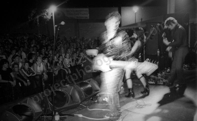 little_birdy_crowd_bdo_2329_wyliepic_1_2_2004_09.jpg