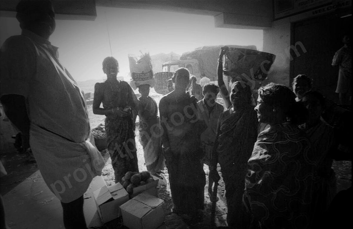 madras_161_wyliepic_00.jpg