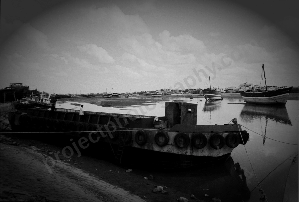 manvi_80_wyliepic_00.jpg