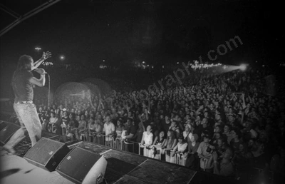 michael_frante_crowd_kings_park_2396_wyliepic_4_2004_03.jpg